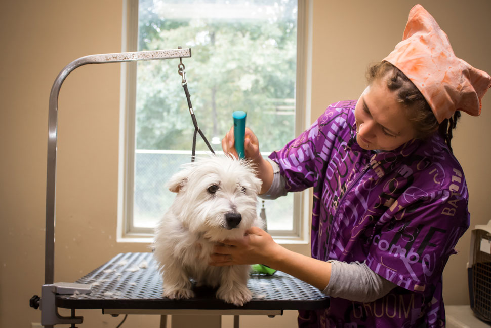 Grooming Room