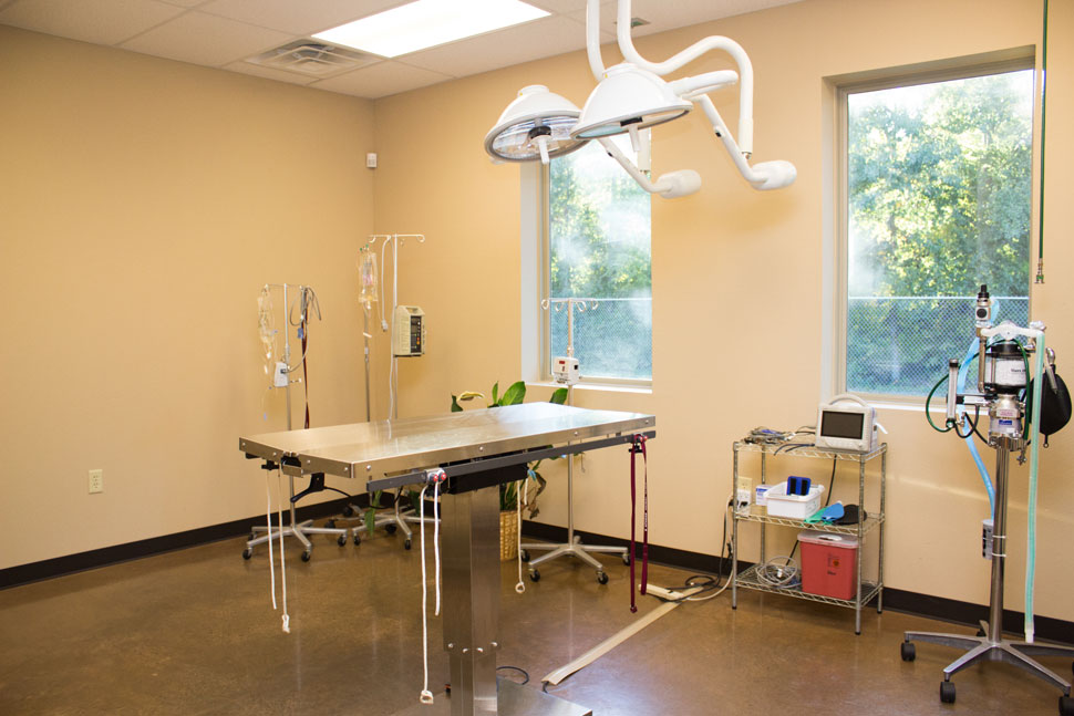 Surgery Room