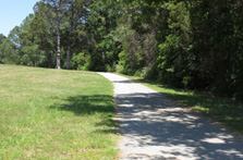 Exercise Outdoors