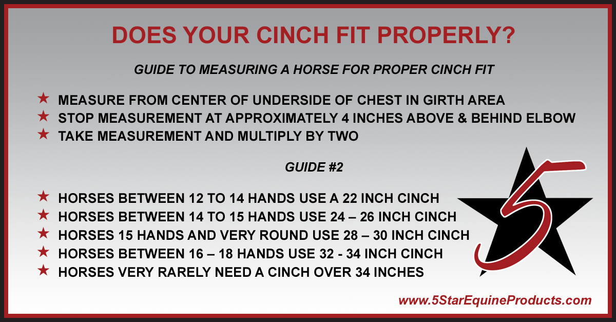 Horse Cinch Size Chart