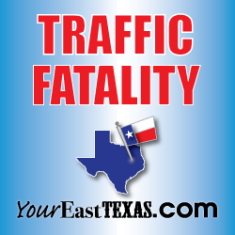 Pedestrian dies after being struck by car on W. Erwin