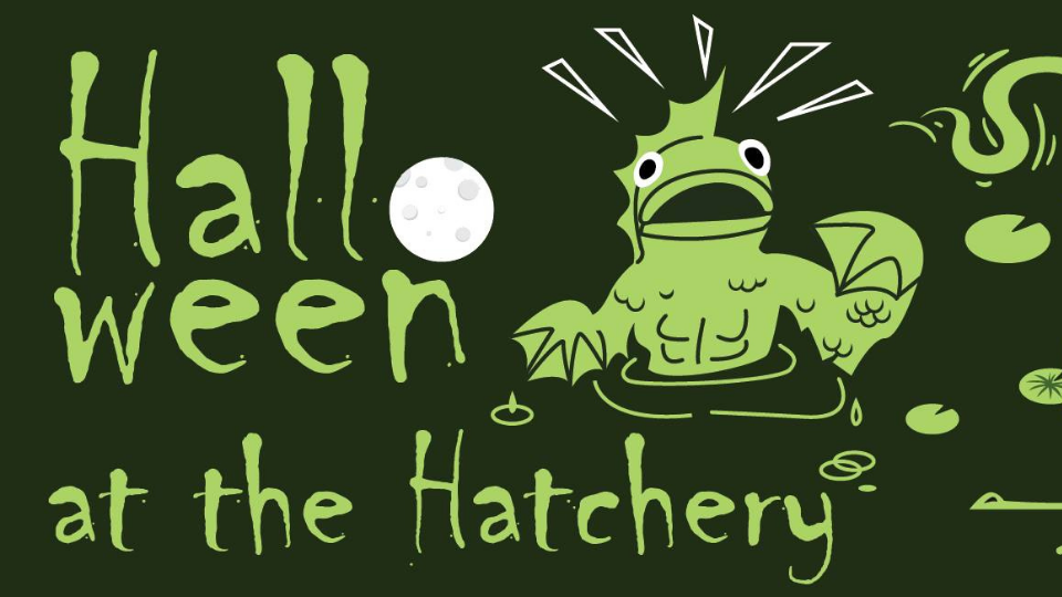 Halloween at the Hatchery