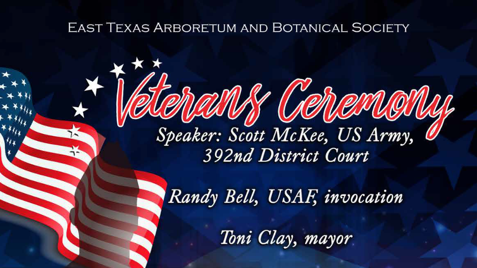 Veterans Day Ceremony