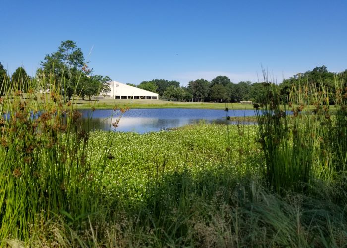 Cain Center and Park