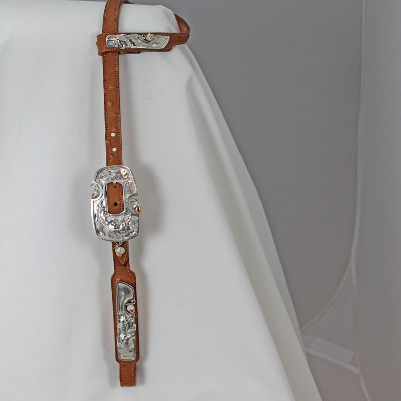 Mike Craig Custom Silver Headstall