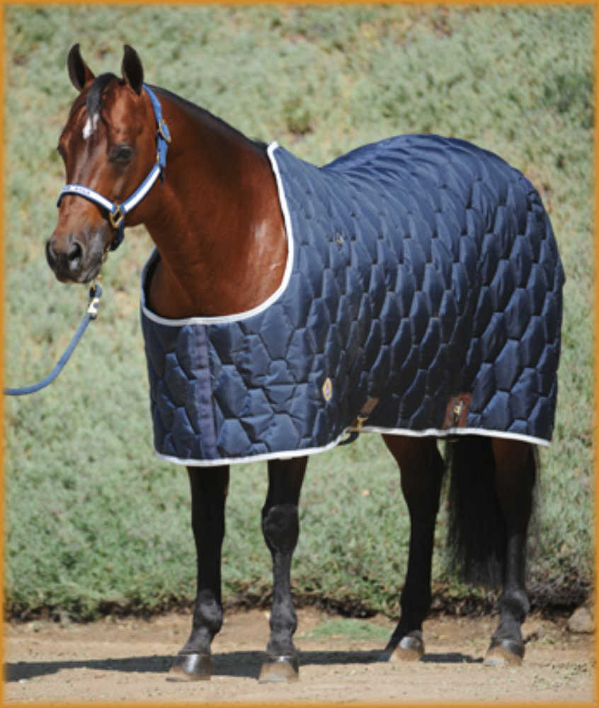Stable Blankets 