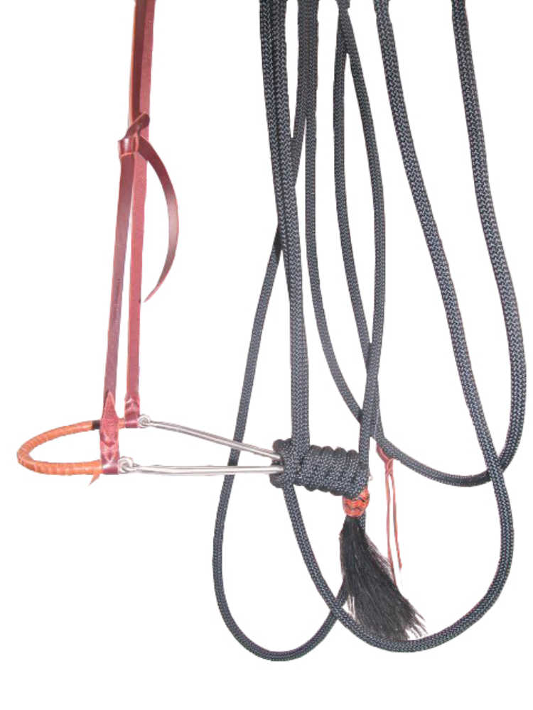 Randy Paul Hackamore with Climbing Rope Mecate