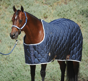Northwest Stable Blanket