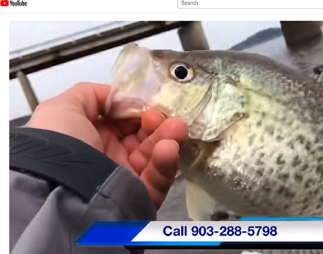 Limits of Crappie in 90 minutes video with Chuck Rollins fishing guide Cedar Creek Lake Tx 
