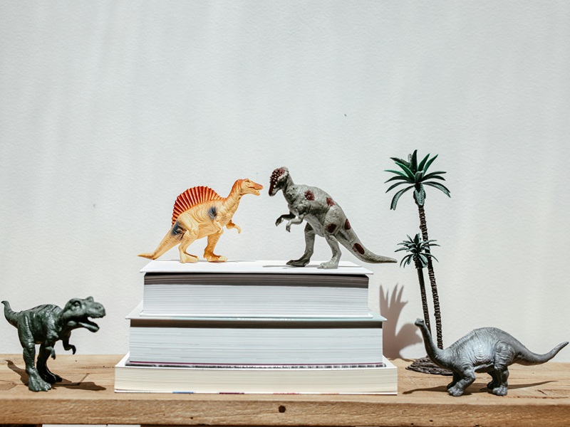 The Summer Reading Program is on!