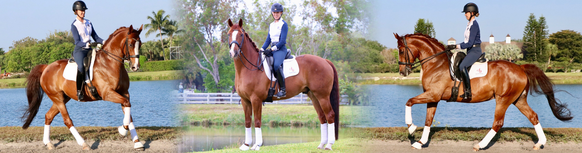 The Flex Fit Wither Option  5 Star Equine, manufacturer of the world's  finest, all-natural saddle pads and mohair cinches