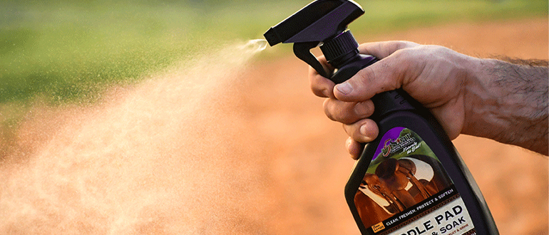 Spring Tune-Up for Your Horse & Gear: Everything You Need for a Fresh Start This Season