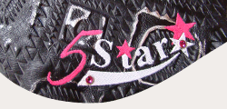 Curved 5 Star Logo w/ 2 Crystals per side