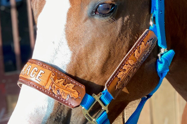 Hand Tooled and Painted Leather Halter - Oakleaf with Name