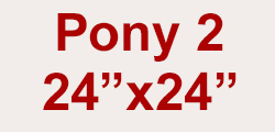 Pony 24" x 24"