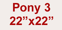 Pony 22" x 22"