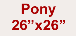 Pony 26" x 26"