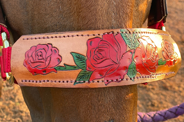 Hand Tooled and Painted Leather Halter - Roses