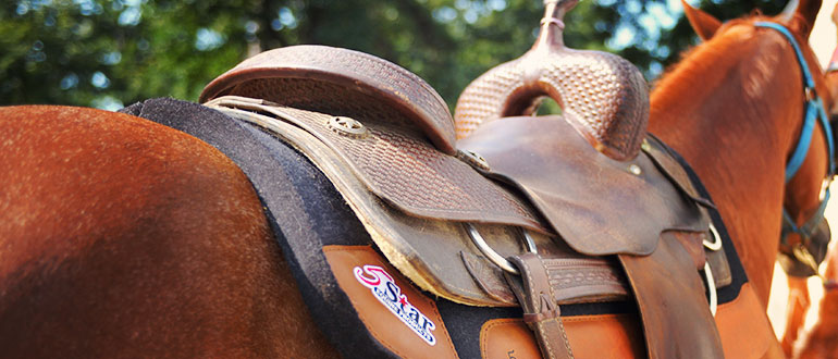 Saddle Pads \u0026 What Manufacturers Don't 