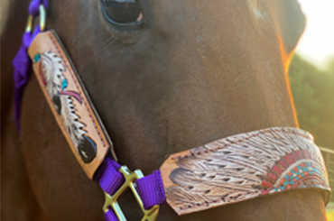 Hand Tooled and Painted Leather Halter - The Legend