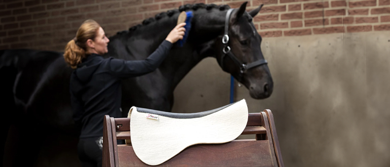 5 Star Saddle Pad Care & Cleaning