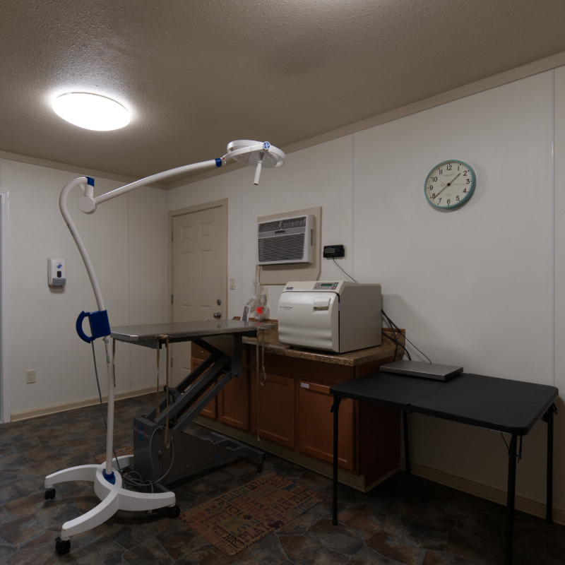 Microchip   Vet Tech Room