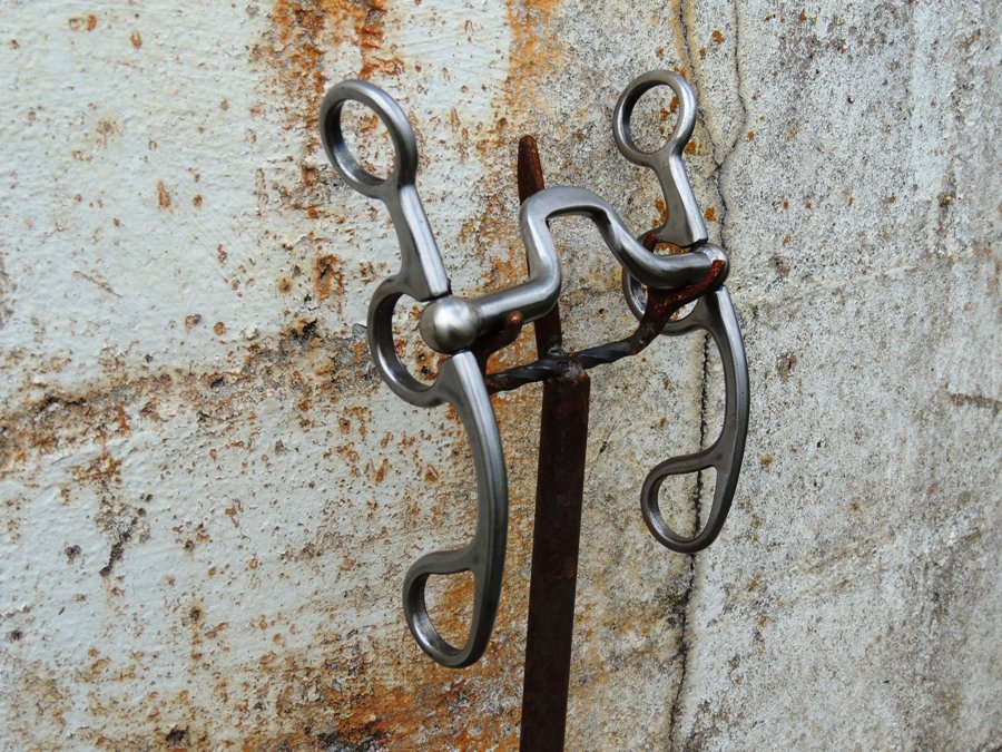 5033 Kerry Kelley Bits & Spurs Kerry Kelley's combination of