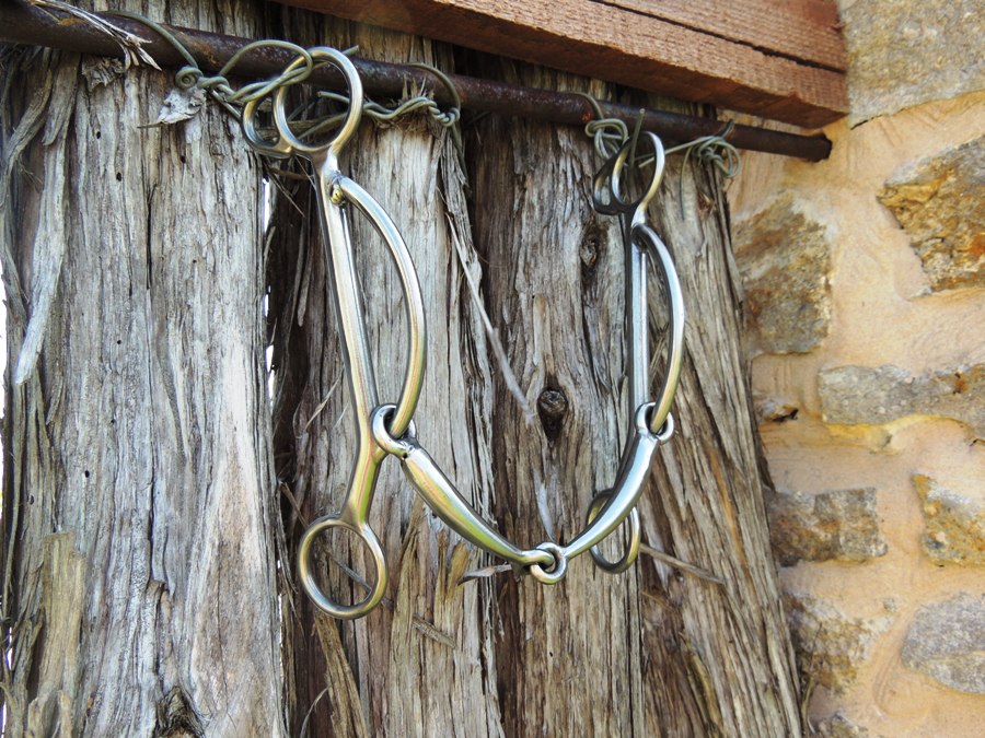 Magnum snaffle