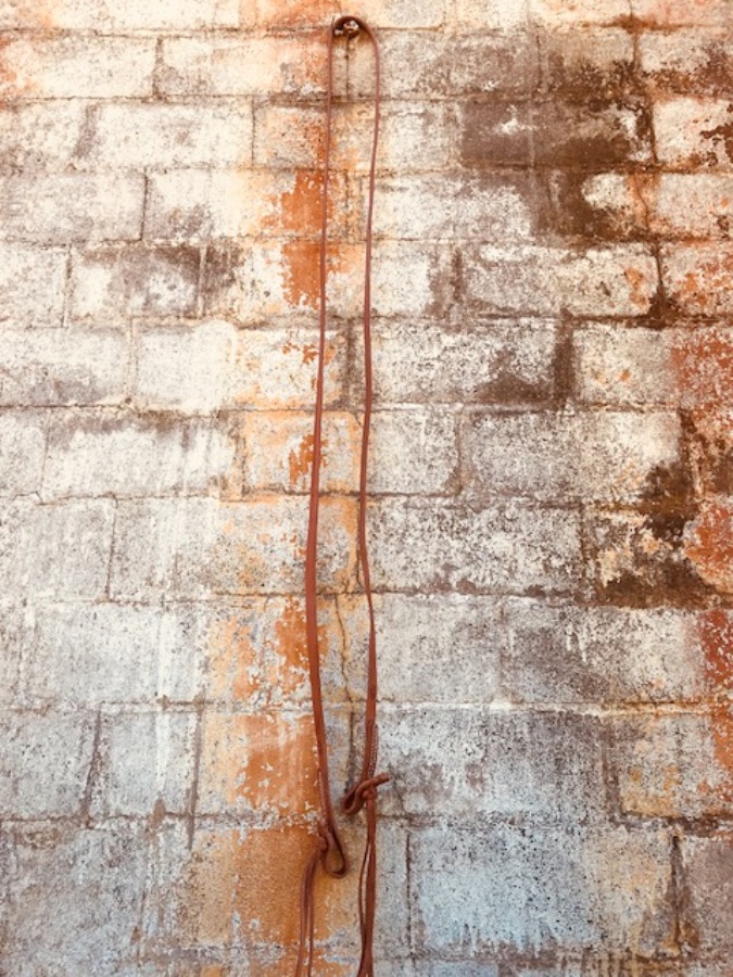 Roping Reins