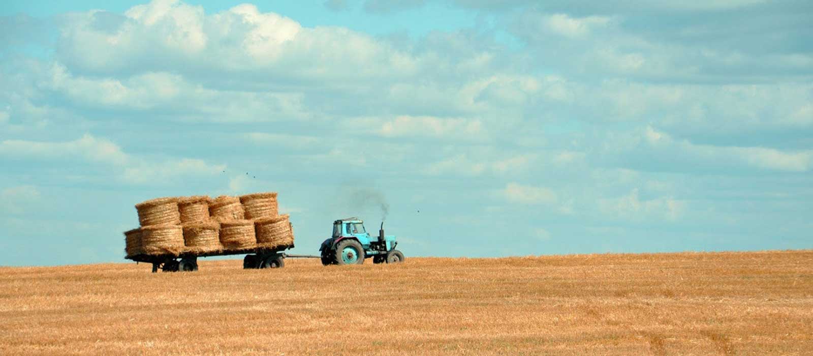 Lonestar Farm and Ranch Report