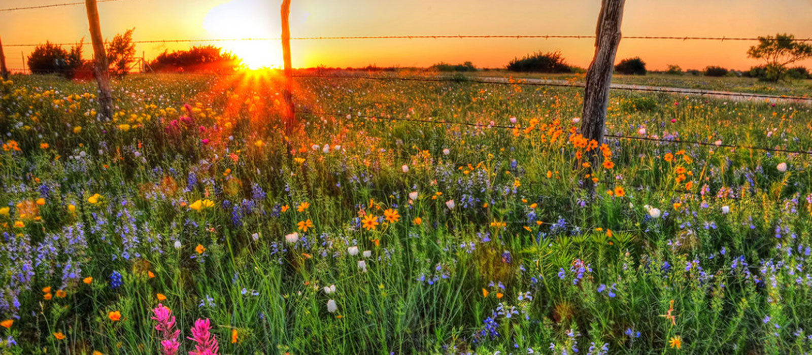 East Texas Mornings with Kat Powers