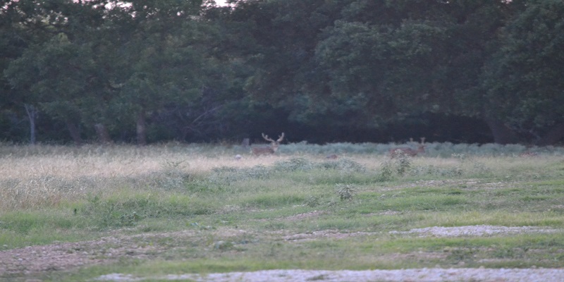 Articles Lightning Ranch Rv Centrally Located Between Bandera