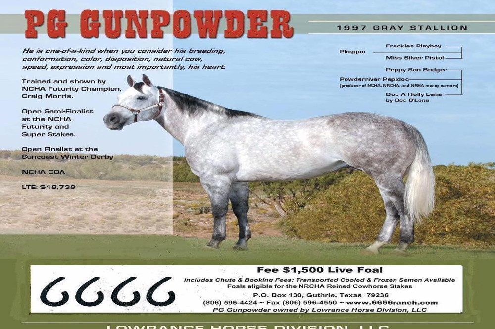 PG Gunpowder