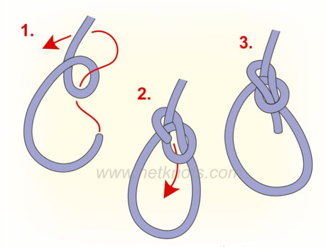 Knot Bowline