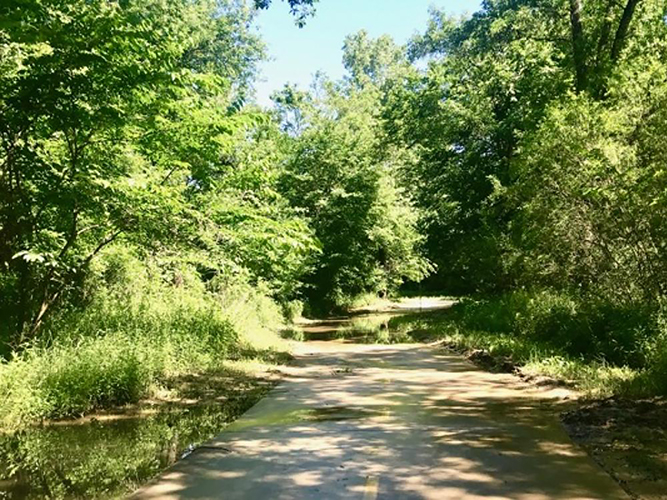 Great Trinity Forest Trail Series Part 2: Trinity River Audubon Center & Joppa Preserve to Loop 12/Great Trinity Forest Way